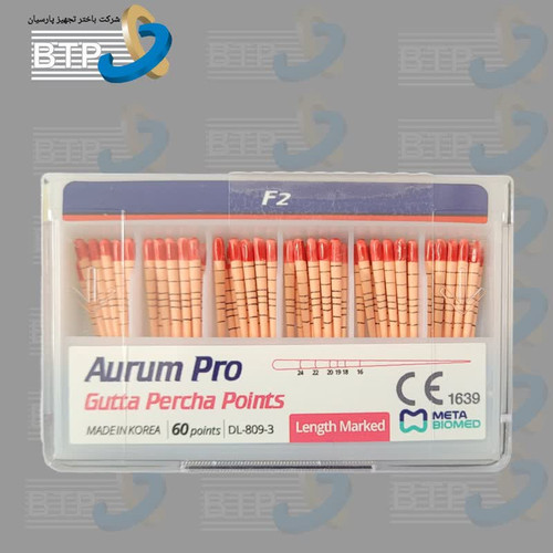 متا گوتا پروتیپر سابز F2